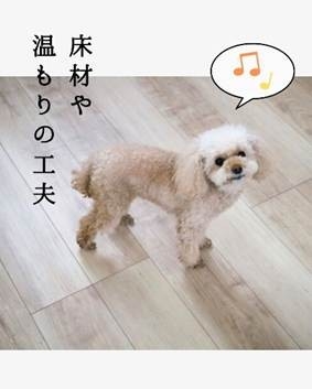 秋冬に役立つ！ペットと快適に暮らす家の工夫